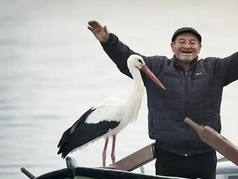 Alper Tüydeş'ten Yaren Leylek Açıklaması: Canlı Yayınla İzleyin!