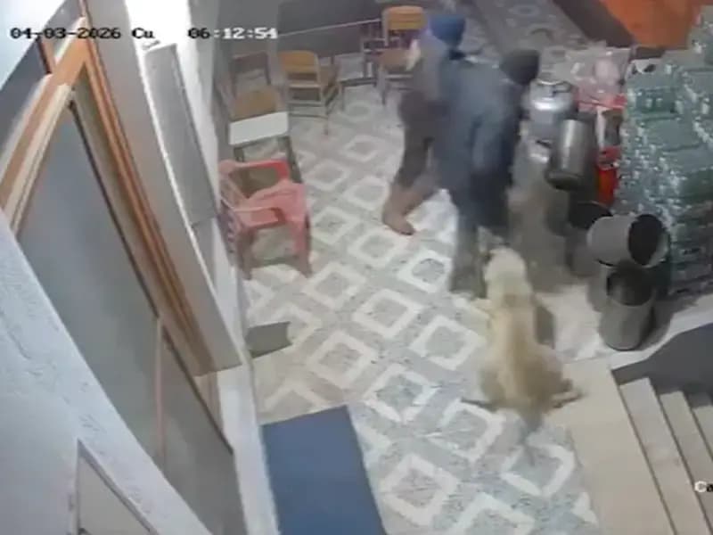 Manisa'da Sahipsiz Köpekler Ferhat Boncuk'un Parmaklarını Kopardı