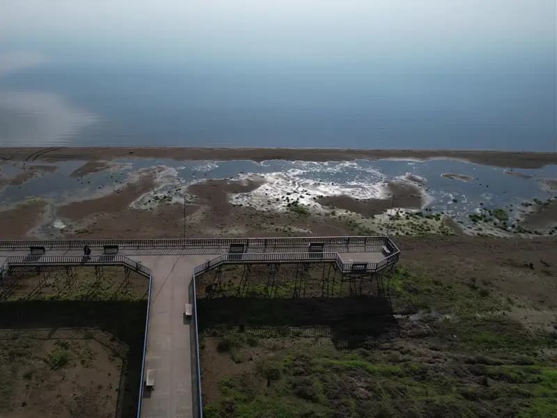 İznik Gölü'nde Su Seviyesi 300 Metre Düştü, Nedenleri Açıklandı