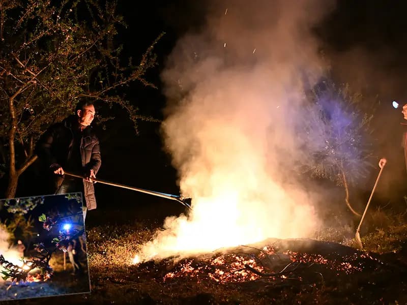 Türkiye'de Sıfırın Altında Zirai Don: Çiftçiler Nöbette