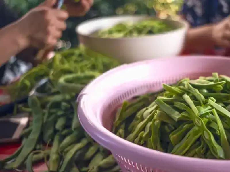 İstanbul'un Taze Fasulyesinde Zam Şampiyonu Olma Hikayesi