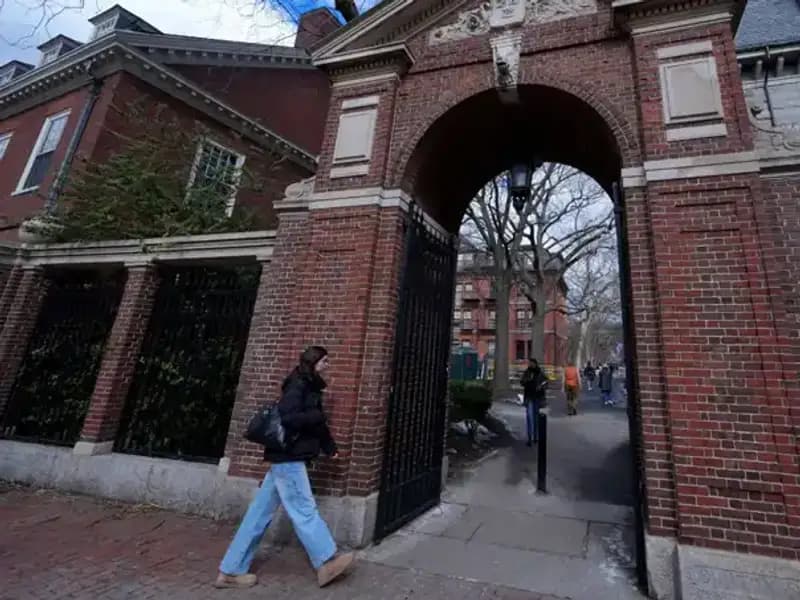 Harvard Profesörleri, Trump Yönetimine Açtıkları Davada Hükümetin Yanlışlarını Gün Yüzüne Çıkarıyor