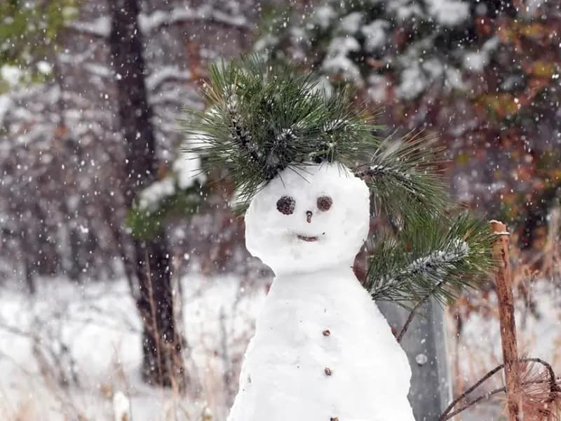 Hava Durumu: Başkentte Kar, Megakentte Yağmur