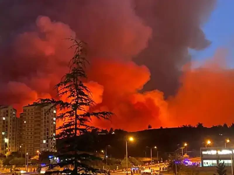 Bursa'da Yangınlar Şehirde Panik Yaratıyor: Son Durum Nedir?