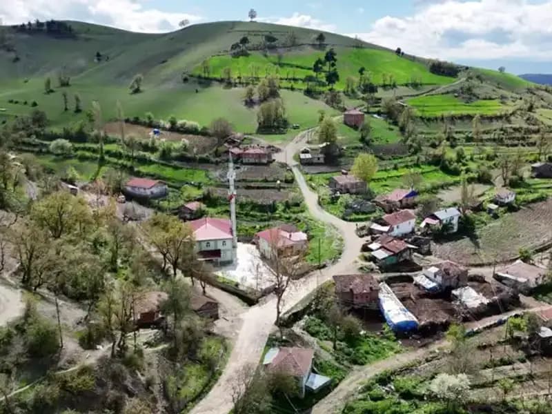 Türkiye'nin Bir Mahallesinde Yeni Doğan Çocukların Çoğu Sağır ve Dilsiz