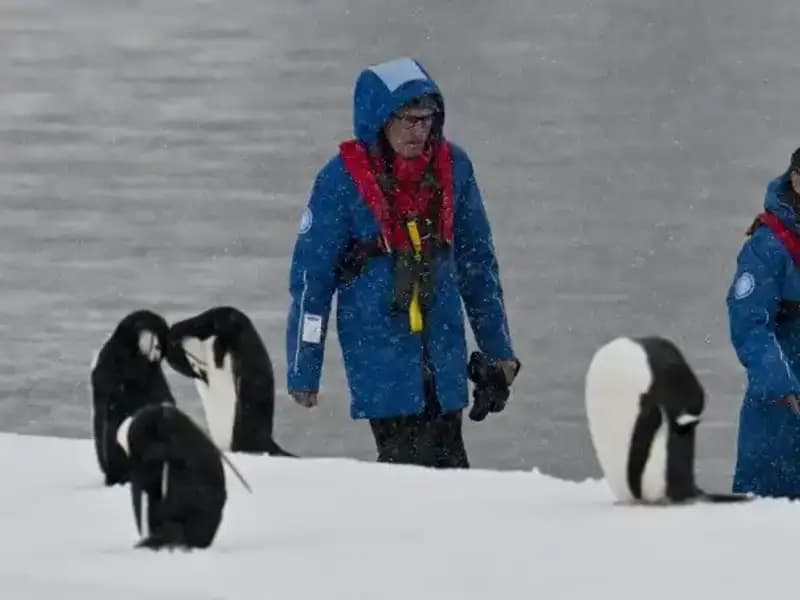 Antarktika’nın Soğukları TikTok ile Isınmaya Başladı!