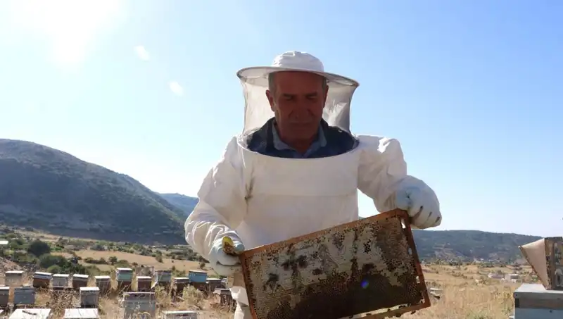 Mobilya İşini 25 Yıl Önce Bıraktı, 2 Ton Üretim Hedefine Ulaşmayı Başardı!