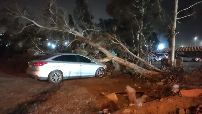 Hatay'da Şiddetli Fırtına: Tekneler Alabora Oldu, Ağaçlar Devrildi!